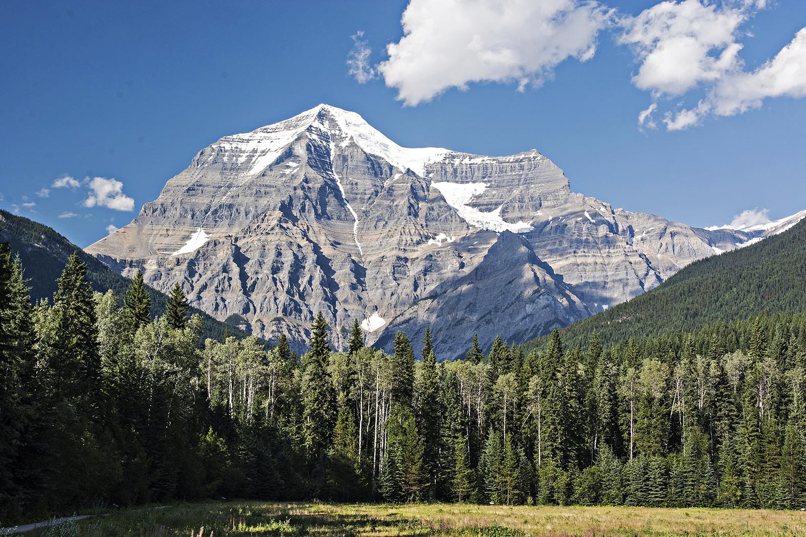 Vibrant turquoise lake surrounded by dense forest in the Canadian Rockies